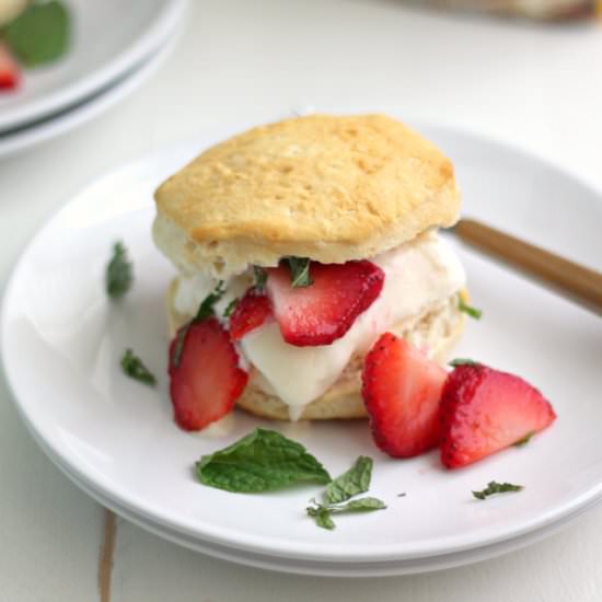Strawberry Ice Cream Shortcake