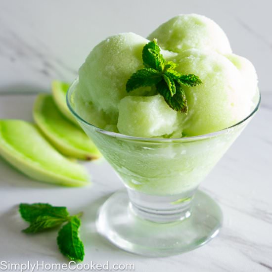 Honeydew Melon Sorbet