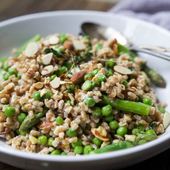 Creamy SpringTime Farro Salad