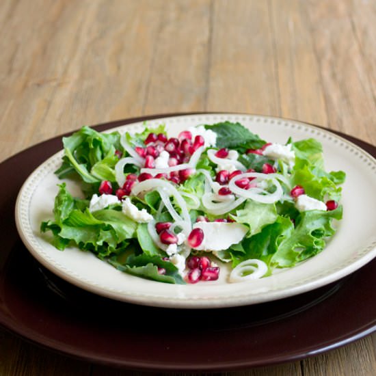 Vidalia Onion and Pomegranate Salad