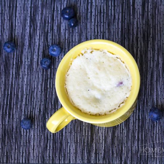 Blueberry Mug Cake