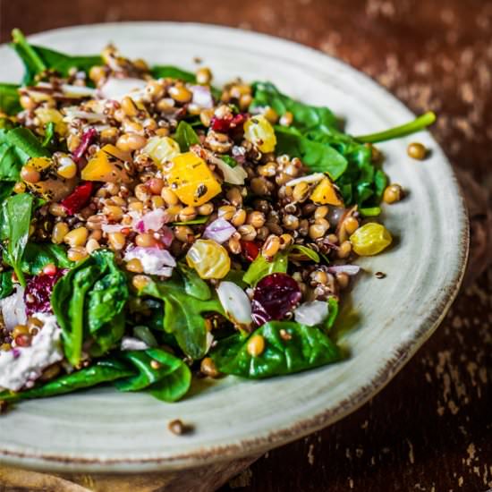 Balsamic Lentil And Quinoa Salad
