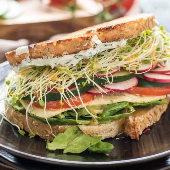 Best Summer Veggie Sandwiches