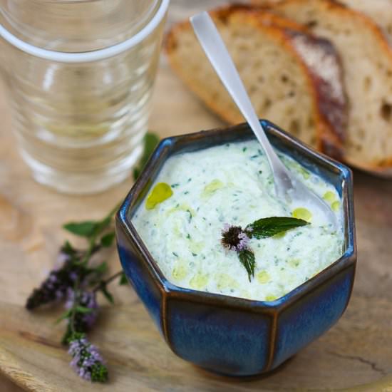 Tzatziki, greek mezze with cucumber