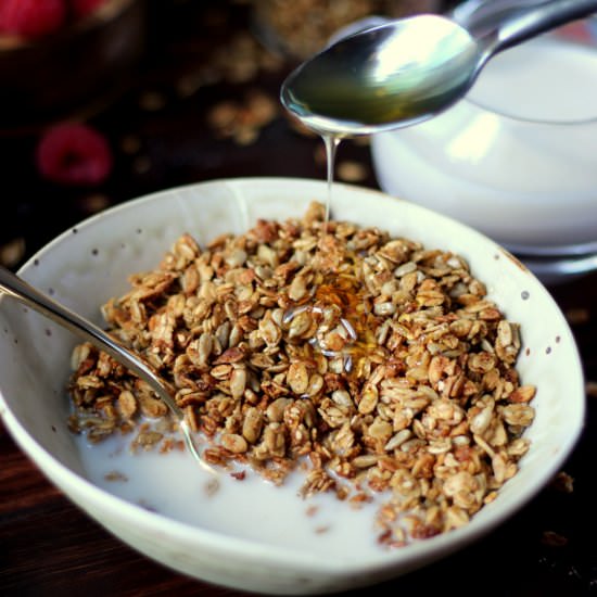 Homemade Flax Granola