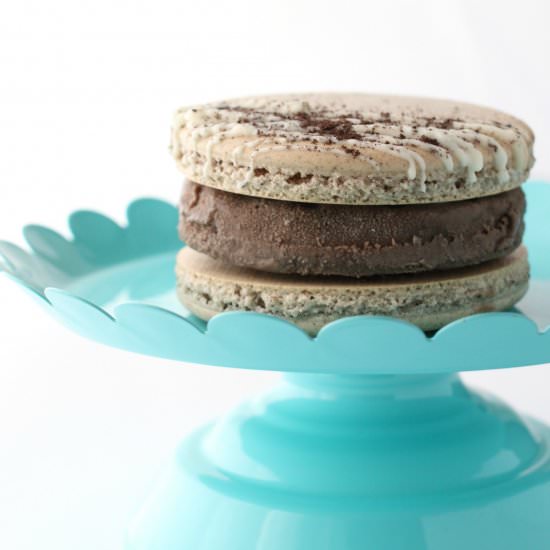 Macaron Ice Cream Sandwiches