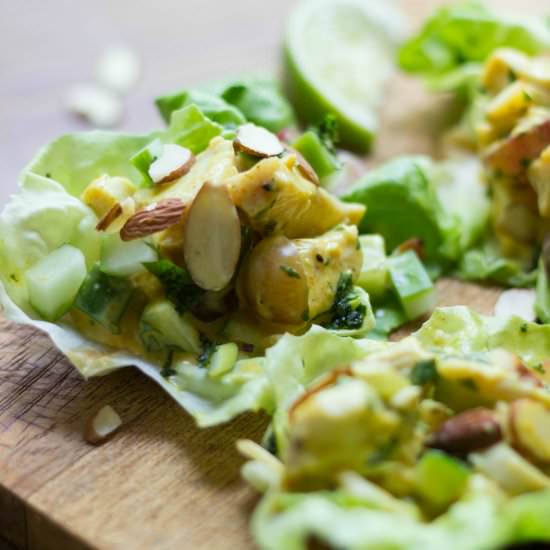 Curried Turkey Salad Lettuce Cups