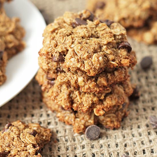 Oatmeal Chocolate Chip Coconut Cookie