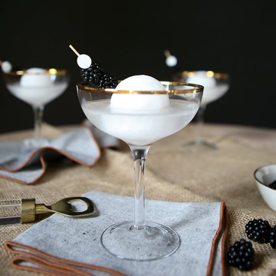 Full Moon Martini