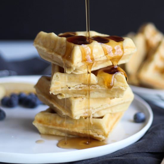 Simple Protein Waffles