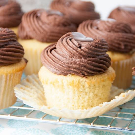 Boston Cream Pie Cupcakes