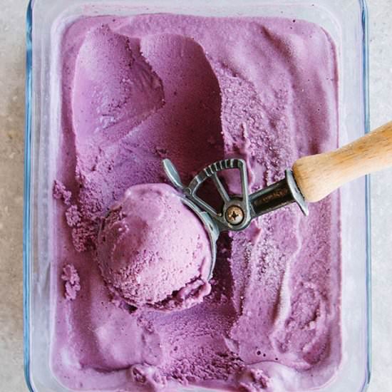 Blueberry Coconut Ice Cream