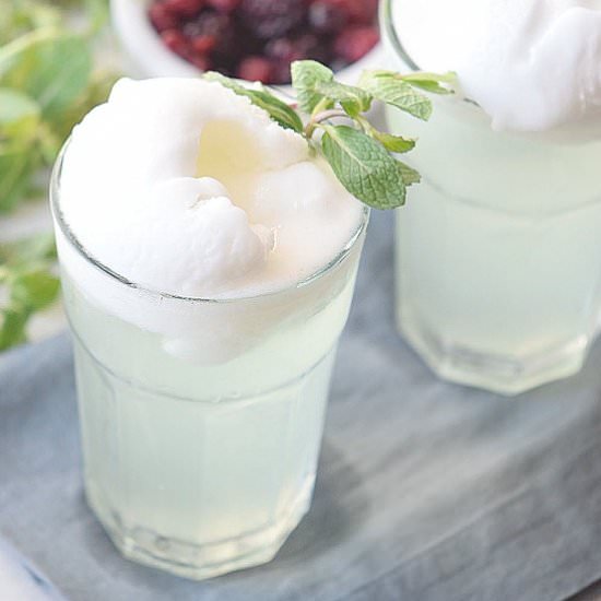 Refreshing Mint Float Recipe