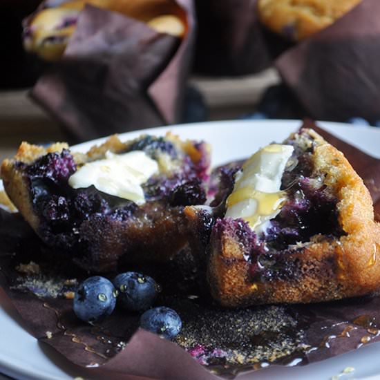Blueberry Corn Muffins