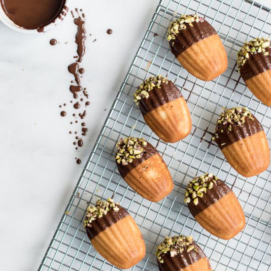 Chocolate Dipped Madeleines