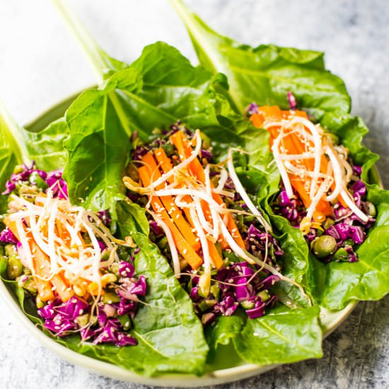 Vegan Asian Lettuce Wraps