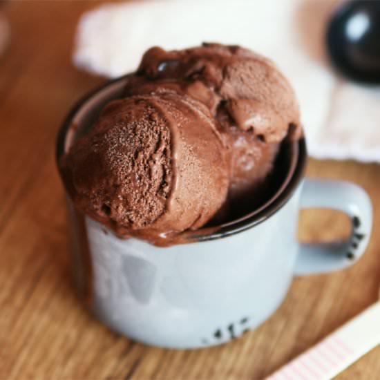 Mocha Fudge Ice Cream