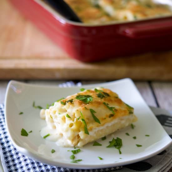 Buffalo Chicken Lasagna Roll Ups