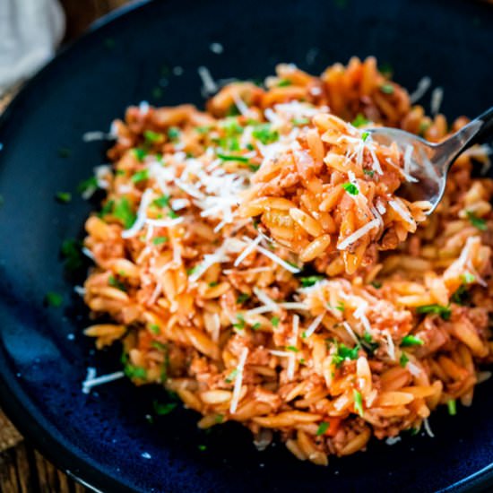 One Pot Spicy Pork Ragu with Orzo