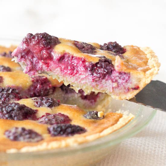 Blackberry Custard Pie