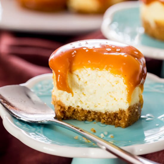 Mini Salted Caramel Cheesecakes