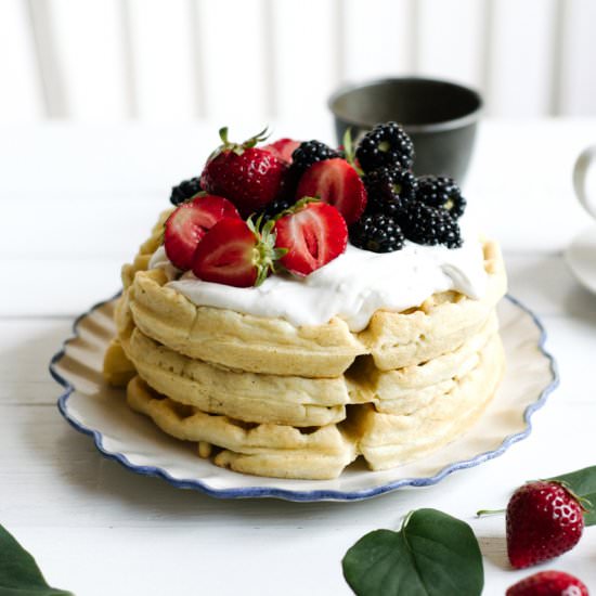 Fluffy Paleo Waffles