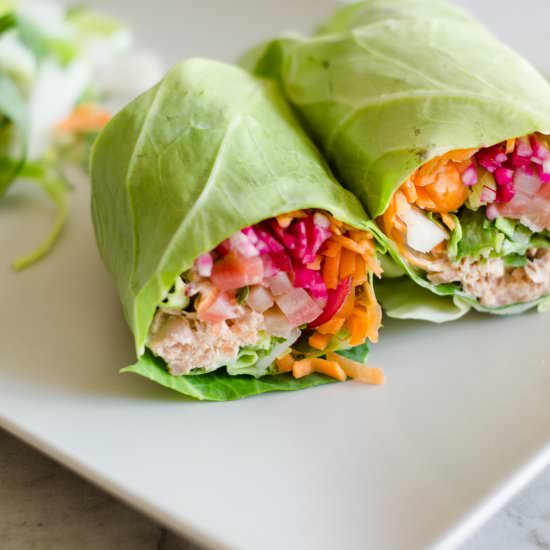 Summer Rainbow Cabbage Rolls