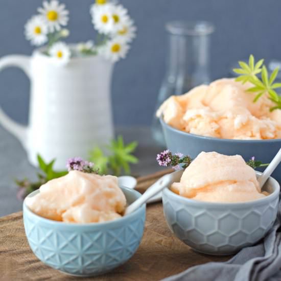 Granita Siciliana with Melon