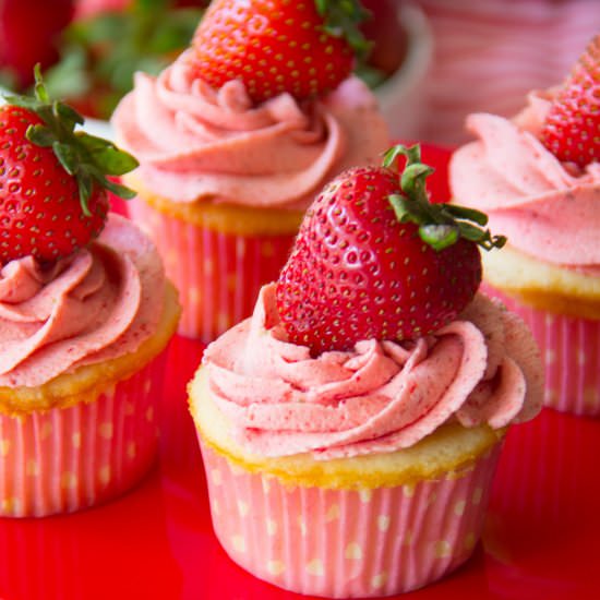 VANILLA CUPCAKES & STRAWBERRY ICING
