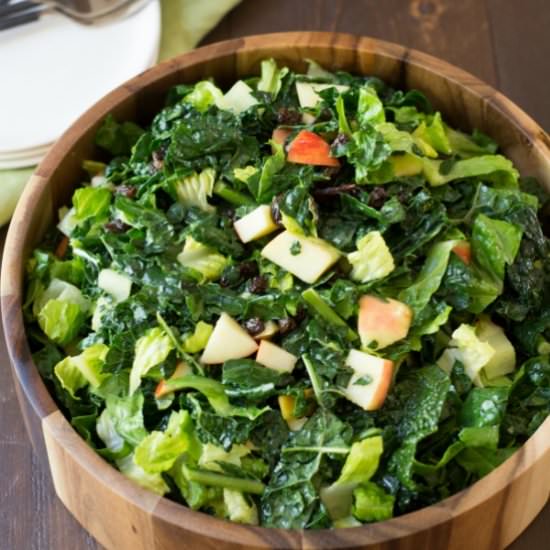 Vegan Kale and Apple Salad