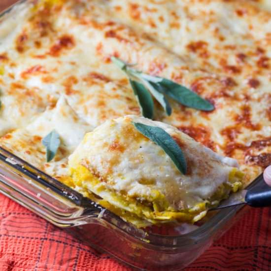 Havarti Butternut Squash Lasagna