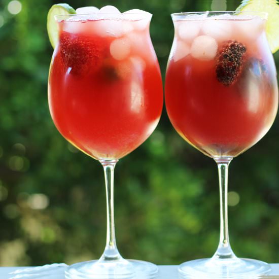 Kombucha Cocktail