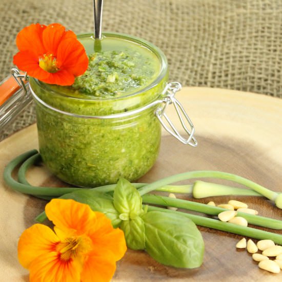 Basil & Garlic Scape Pesto