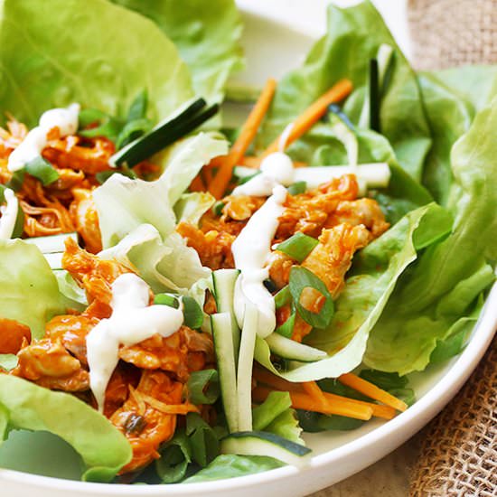 Buffalo Chicken Lettuce Wraps
