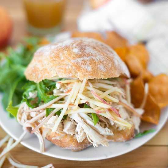 Slow Cooker Apple Pulled Chicken