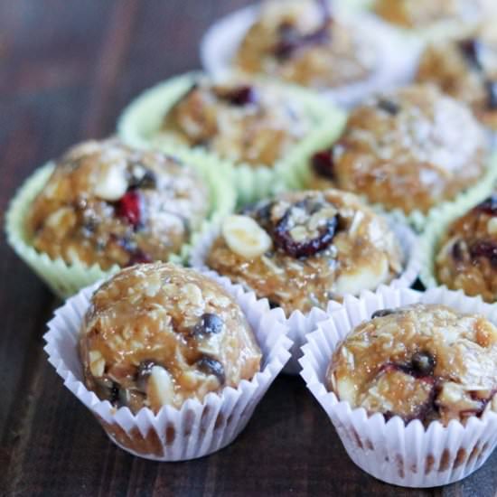 Cranberry Chocolate Granola Bites