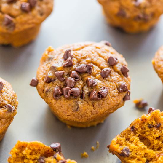 Mini Pumpkin Chocolate Chip Muffins