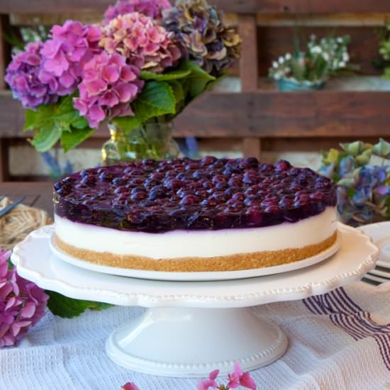 Cottage Cheese & Blueberry Cake