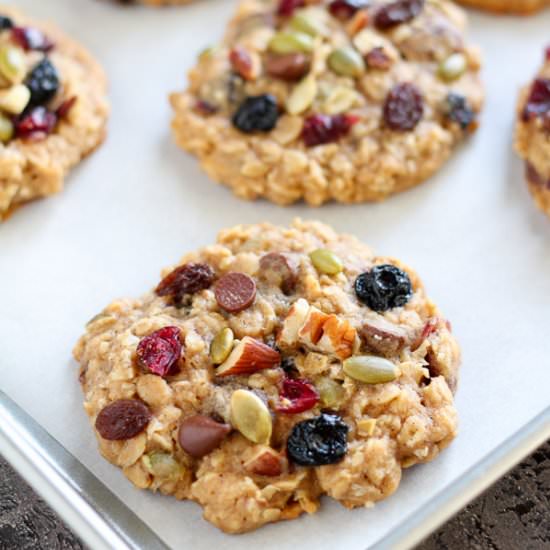 Oatmeal Trail Mix Cookies