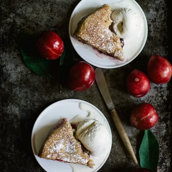 Paleo Plum Cake