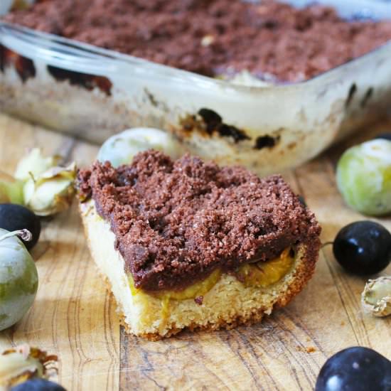 Plum & Chocolate Crumble Cake