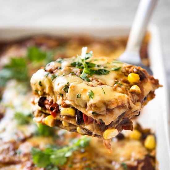 VEGETARIAN MEXICAN LASAGNA