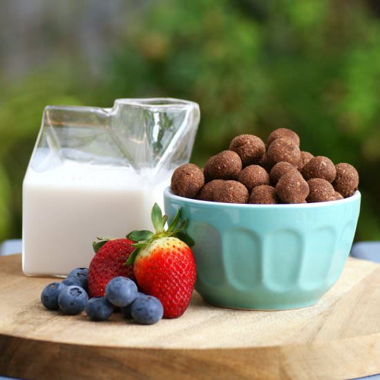 Homemade Paleo Cereal (Vegan)