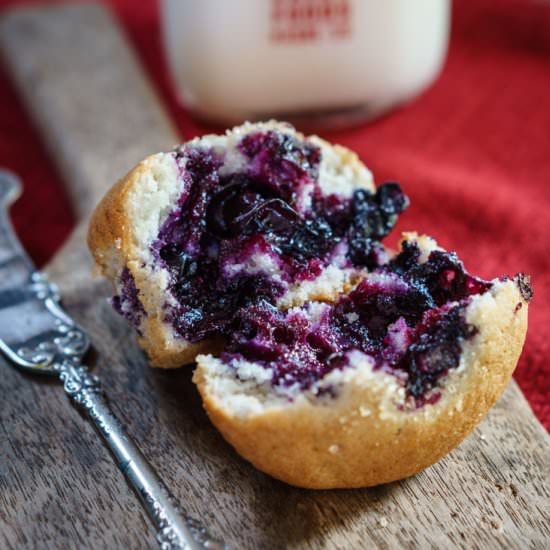 Loaded Blueberry Muffin