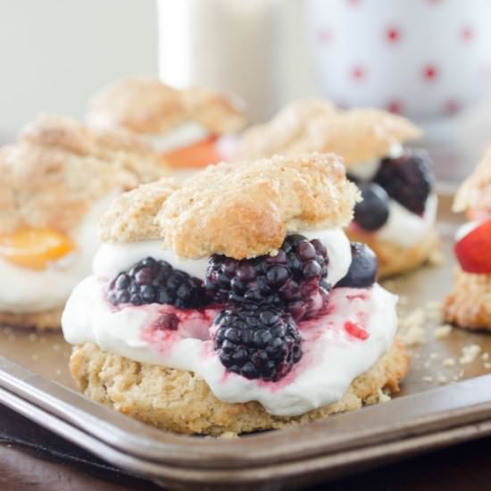 Shortcake