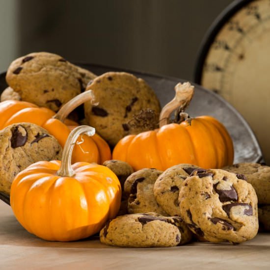 Pumpkin Chocolate Chip Cookies