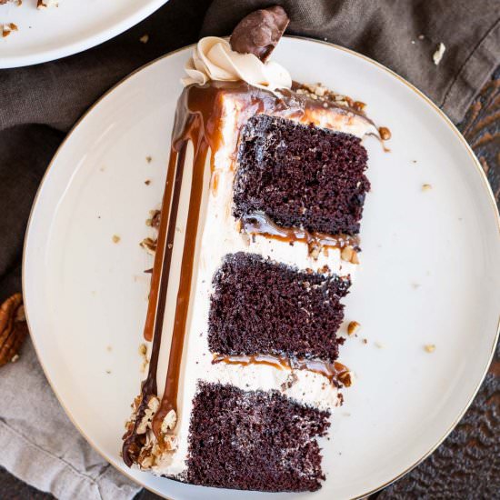 Turtles Layer Cake