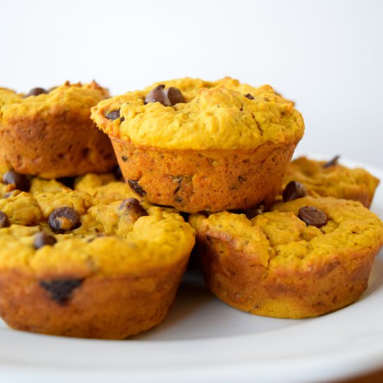 Chocolate Chip Pumpkin Muffins