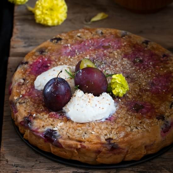 Plum and Oatmeal Cake