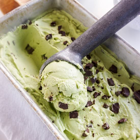 Mint Fudge Chunk Frozen Yogurt